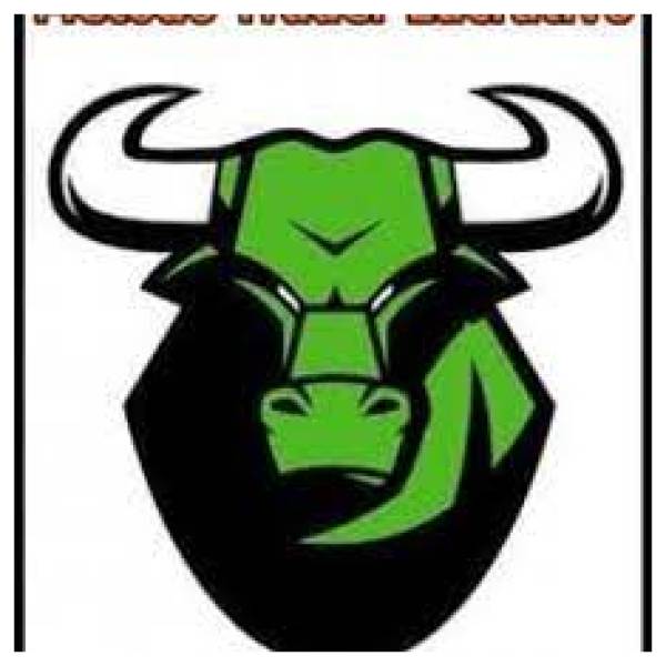 Método Trader Lucrativo - Hygor Uzais